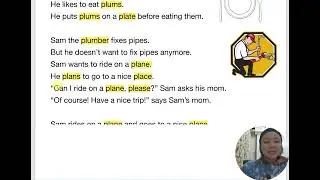 Sam the Plumber