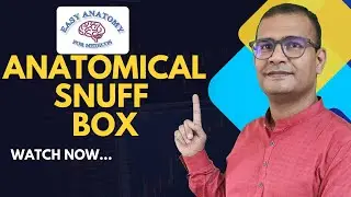 Anatomical Snuff Box Explained | Boundaries, Contents & How to Draw | Easy Anatomy for Medicos