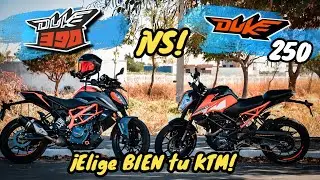DUKE 390 vs DUKE 250! 😬 Which of these two should you get for your KTM? 🔥 | Aguacate Motovlogs 🥑