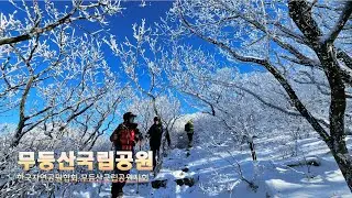 무등산국립공원 하이킹/ 260111(일)/ 한국자연공원협회