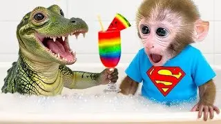 Monkey Baby Bon Bon Gets Colorful Ice Cream with Funny Crocodile #monkey #monkeybaby #animalshome 