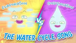The Water Cycle Song! 🎵🌧️