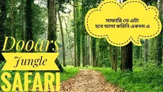 Dooars Family Trip || Day 2 Gorumara Jungle Safari || Jeep Safari In Dooars