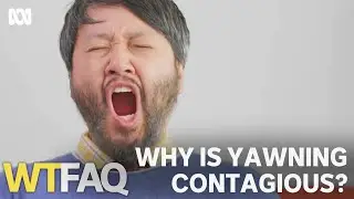 Why is yawning contagious? | WTFAQ | ABC TV + iview