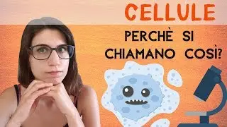 SCOPERTA della CELLULA: perché si chiama così?