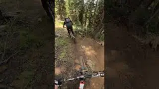 Best Enduro Stage Ever!?