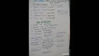 NCF 2023. National curriculum framework for schools  .#education#cdp#psychology#shorts#university