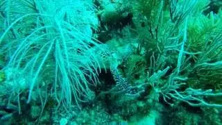 St John USVI Travel 2016
