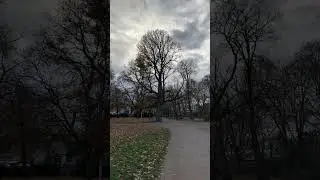 Cologne Stadtgarten walking tour 2024