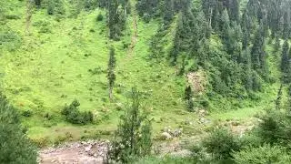 Mundi(near Jabori village )Manshera (Pakistan sites Visit) #Travel Dairies