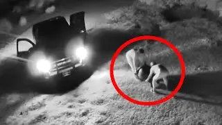 Thieves Run Over 200-Pound Galapagos Tortoise