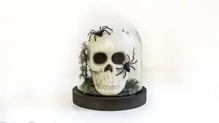 Borgin and Burkes skull head in a bell jar d.i.y | Harry Potter