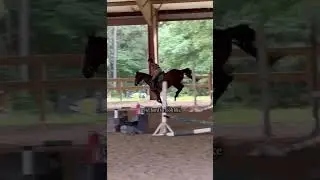 Guys she doesn&rsquo;t usually ride in Western Chaps this is the only video I had of her | #equitation