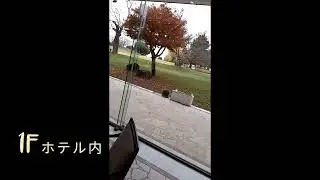 伊東格安ホテル　サザンクロスリゾート　318号に1日前予約して単身宿泊