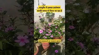 #plants #gardening #flowers #ayurveda #trending #viral #shorts #india #news #nature #health #facts
