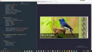 Photo Gallery  in JS - 1/2 | JavaScript Tutorials | Web Development Tutorials