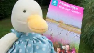 Moulin Roty goose goes to Slimbridge