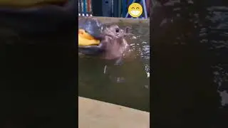 you want to jump with me ?