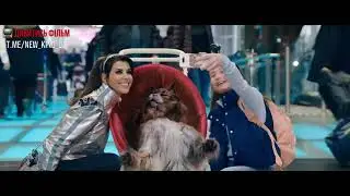 Кіт & Пес: Шалені пригоди | Cat and Dog (2024) трейлер українською мовою 🇺🇦