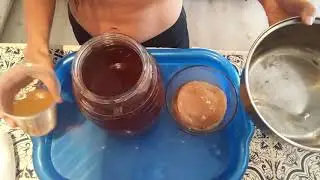 Kombucha Brewing