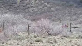 Aspen Avjet  Gulfstream Plane Crash Location