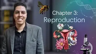 Biology | Chapter 3: Reproduction | Senior 3 | Dr Mohamed Farouk
