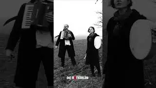 DiE ROTKEHLEN | Kriegslied | Short | 2025 | #krieg #war #claudius