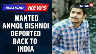 Anmol Bishnoi, Wanted In Baba Siddique Murder, To Reach India Today After US Expulsion | News18