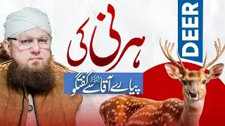 Hirni Ki Piyare Aaqa Se Guftgu | Deer&rsquo;s Conversation with the Beloved Prophet | Abdul Habib Attari