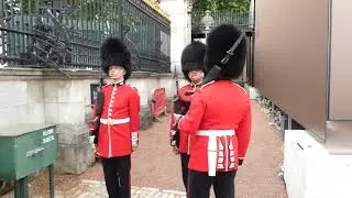 The Grenadier Guards