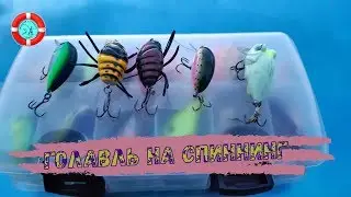 Ловля ГОЛАВЛЯ на перекате / Мордовия/