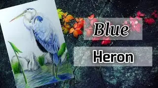 Blue Heron | Bird Drawing | Heron Drawing Step By Step