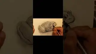 Cool & Relaxing Frog Drawing #drawing #sketch #relaxing #art #pencildrawing #pencil #artist