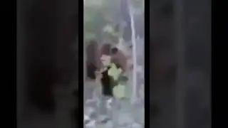 is that freddy fazbear?