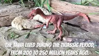 Schleich Tawa Dinosaur Toy Model 2018 | Video Review | 15005