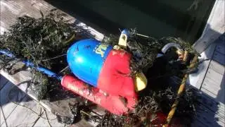 First magnet fishing of 2017!
