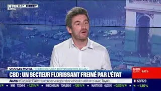 Charles Morel (Union des Professionnels du CBD): CBD, un secteur florissant frein&eacute; par l'&Eacute;tat