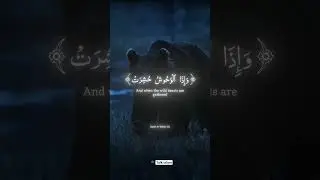 talk islam #shortvideo #islamicquotes #islamicsayings #islamicstatus