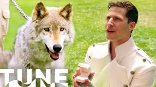 Proposals With Wolves (Ashley Wednesday Ft. Seal) | Popstar: Never Stop Never Stopping | TUNE