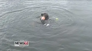 State police dive team trains on Gardner Lake in Salem