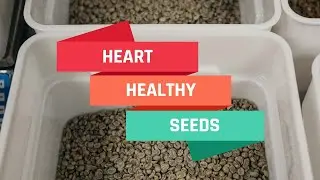 Top 5 heart healthy seeds