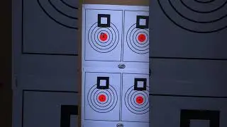 .223 Trainer Test Fire ladder test 85.5 Berger Hybrids. That'll do.