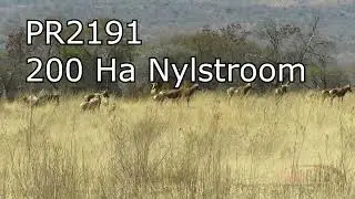 PR2191,  200 ha Game Farm Nylstoom Modimolle Limpopo