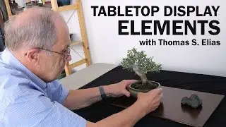 Basic Tabletop Bonsai and Stone Display Elements with Tom Elias