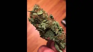 Mango Kush