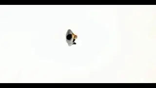 Chipmunk ft. Esm&eacute;e Denters - Until You Were Gone Official Music Video