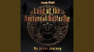 My First Lsd Trips (16)