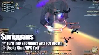 Snowcloak Dungeon Guide - Final Fantasy XIV: A Realm Reborn