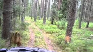 Квадро-пробег Умосту, Олонецкий р-он, Карелия 25.07.2013