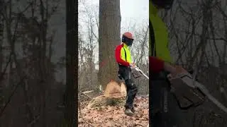 Insanely Satisfying Tree Cutting with Chainsaw